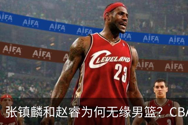 张镇麟和赵睿为何无缘男篮？CBA名记分析，道出2个原因